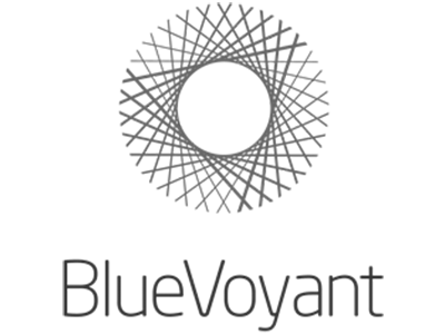 bluevoyant